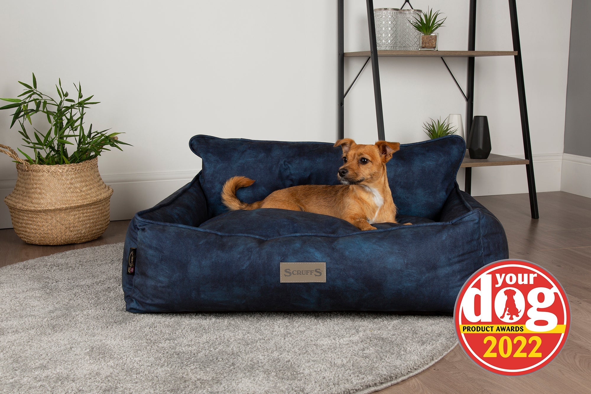 Scruffs® Celebrates “Best Dog Bed” Award from Your Dog Magazine