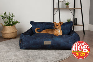 Scruffs® Celebrates “Best Dog Bed” Award from Your Dog Magazine