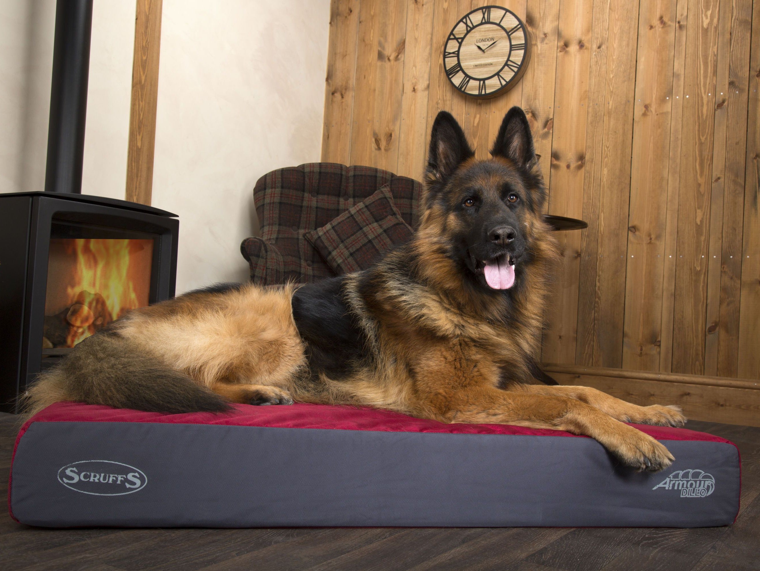 #OnTrend: Scruffs® Expedition Box Bed, Chester Mattress & ArmourDillo Collections Feature in Our Trending Category for August