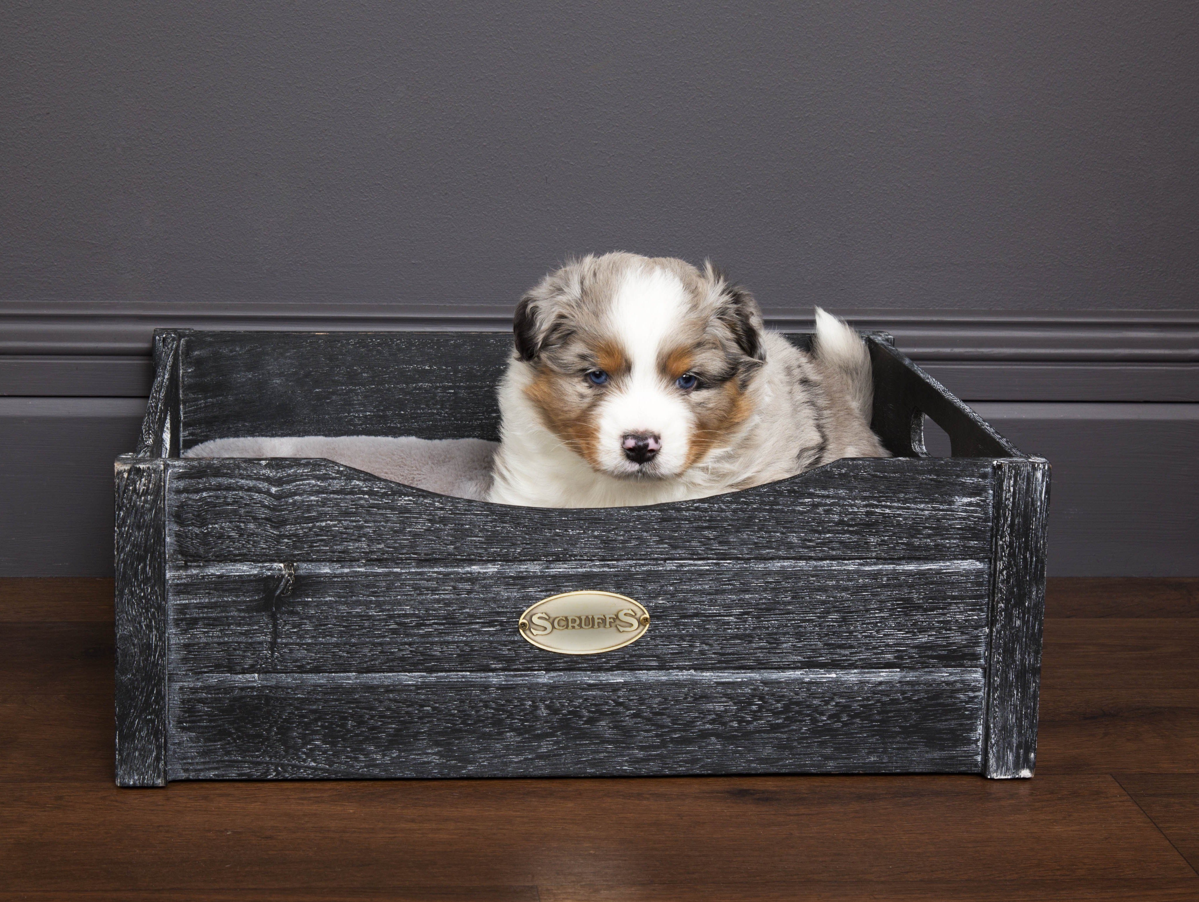 #ScruffsLoves: Miniature Breed, Cat Bedding & Luxury Ellen Collection Make our Must-Have List for January 2019