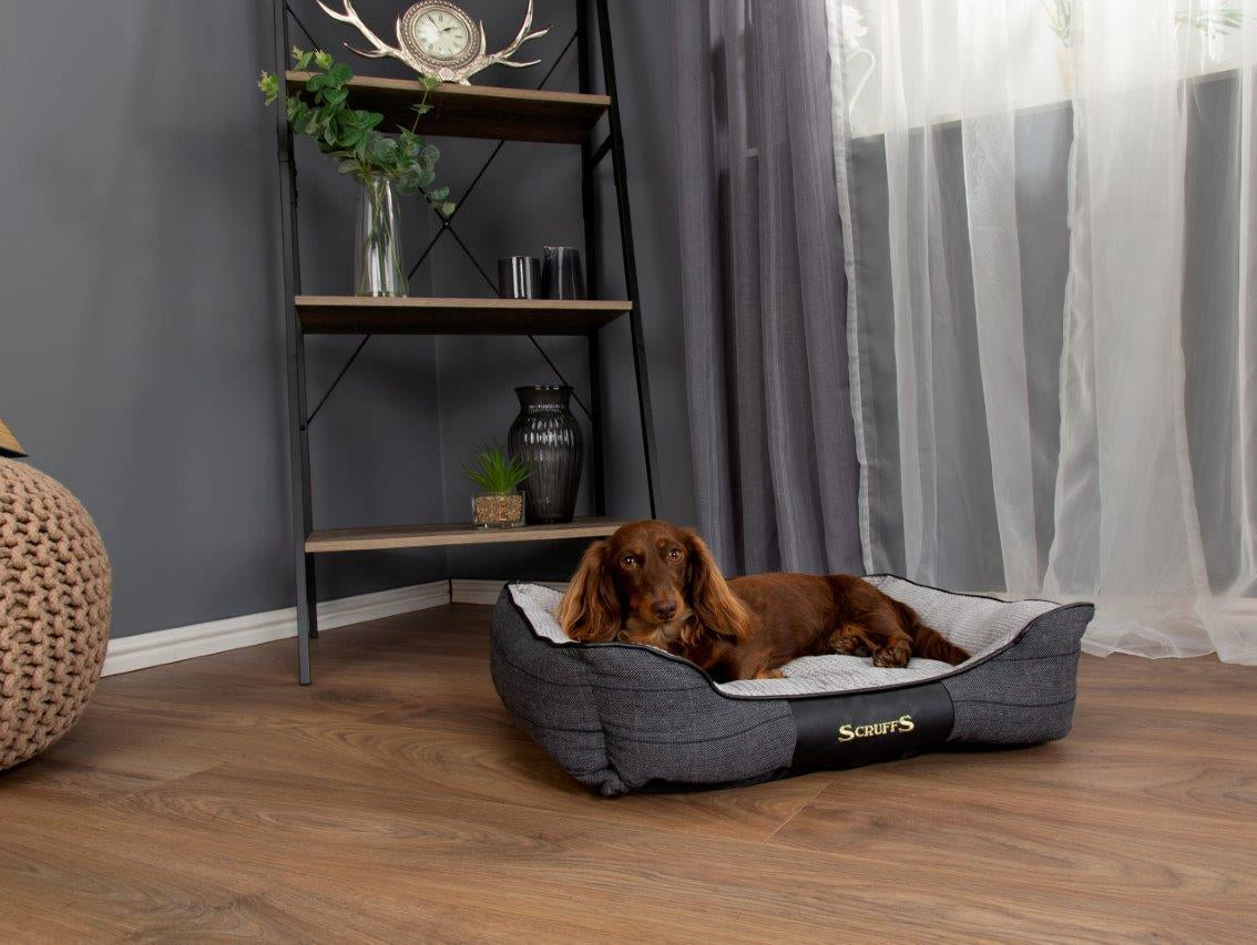 Our Top Picks for January