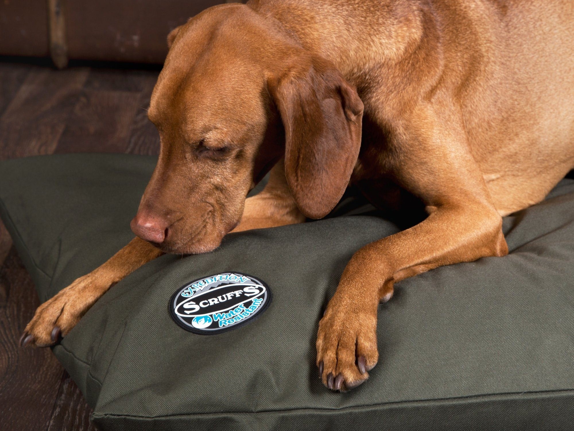 Why Should I Choose an Expedition Bed?