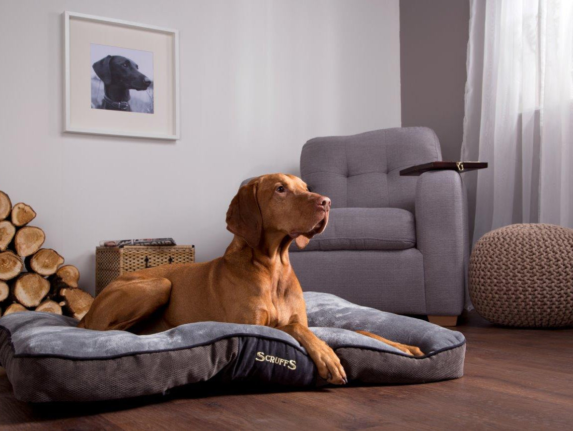 #ScruffsLoves: The Chester Collection & Best-Selling Chateau Mattresses Join our Must-Have List for September 2019