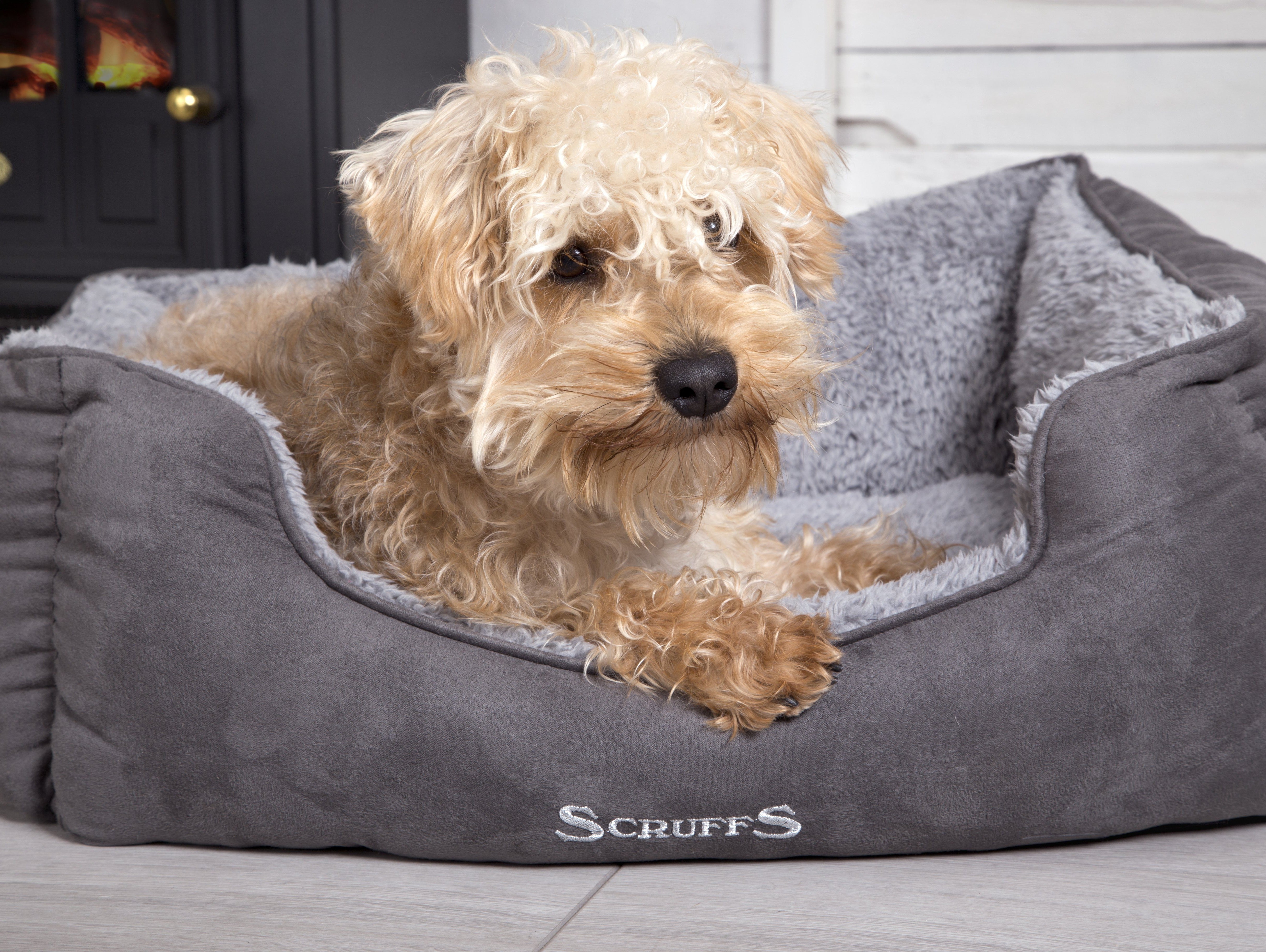 #ScruffsLoves: Water-Resistant Bedding, the Luxury Ellen, Thermal Blankets & Brand New Cosy Beds Make our Must-Have List for February 2019
