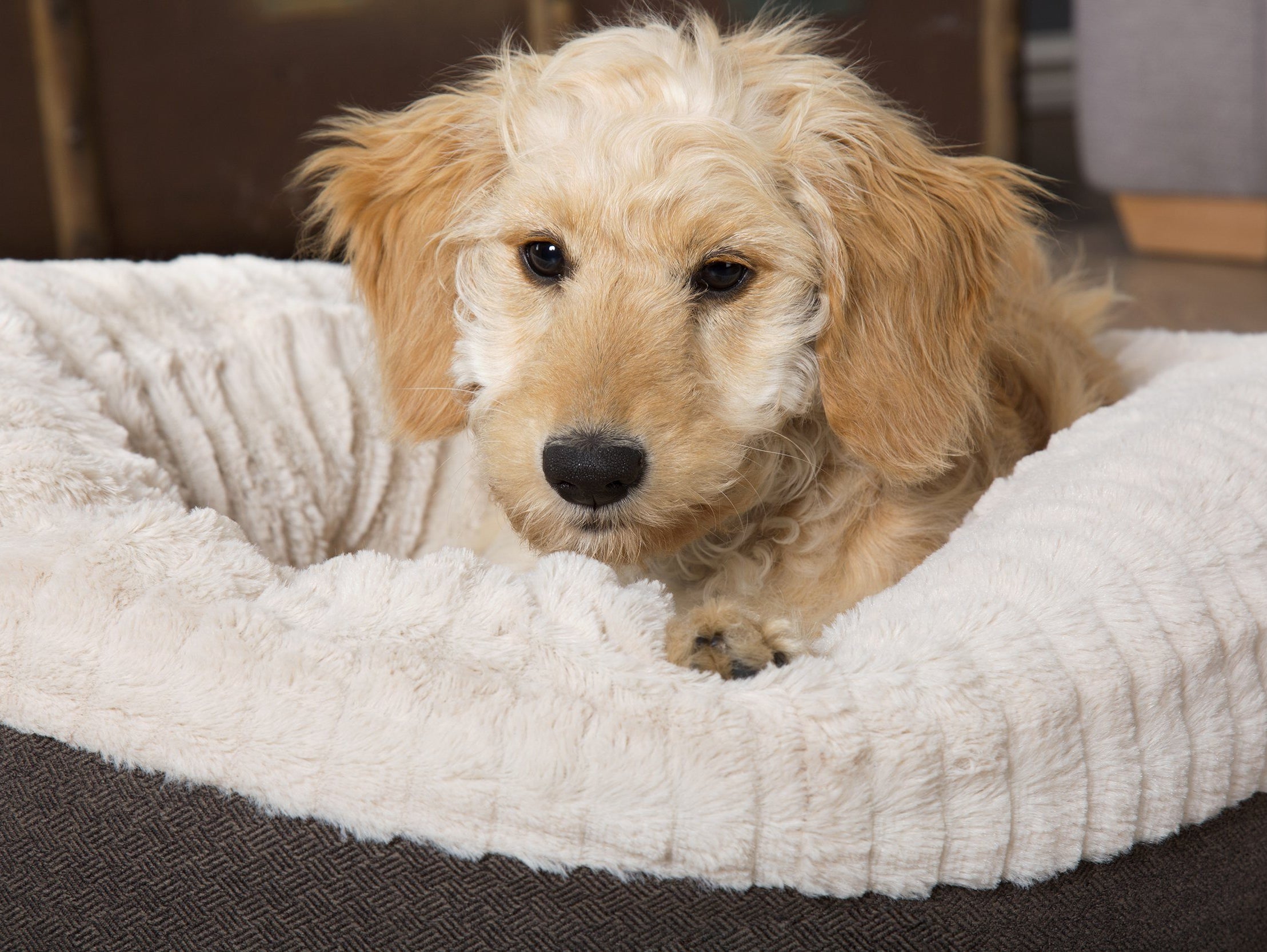 Get Set for Winter with the Scruffs® Ellen Bedding Collection