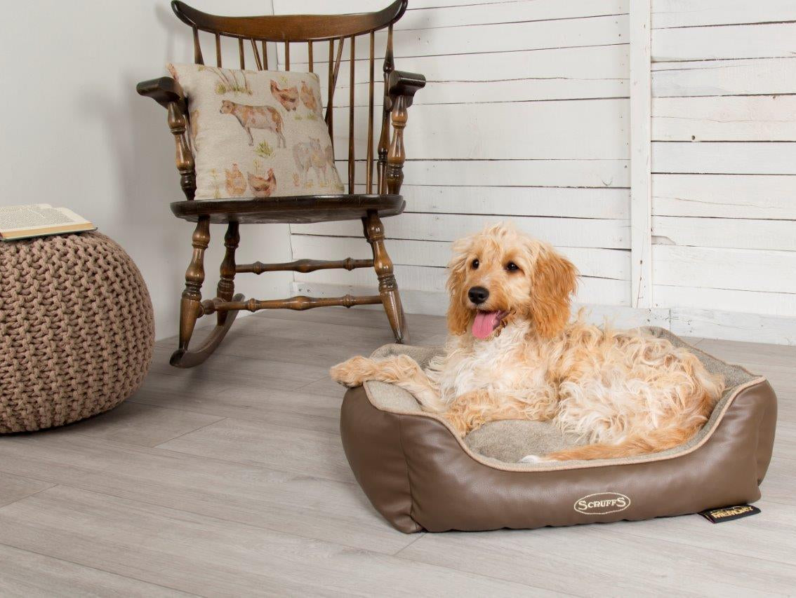 #ScruffsLoves: The New Florence Collection & Ellen Donut Beds Make our Must-Have List for August 2019