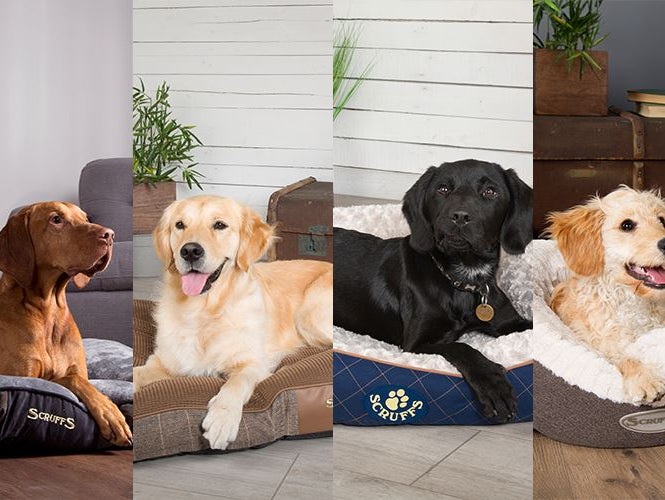 #OnTrend: Scruffs® Chester, Windsor Wilton & Ellen Collections all Feature in Our New Trending Category for March