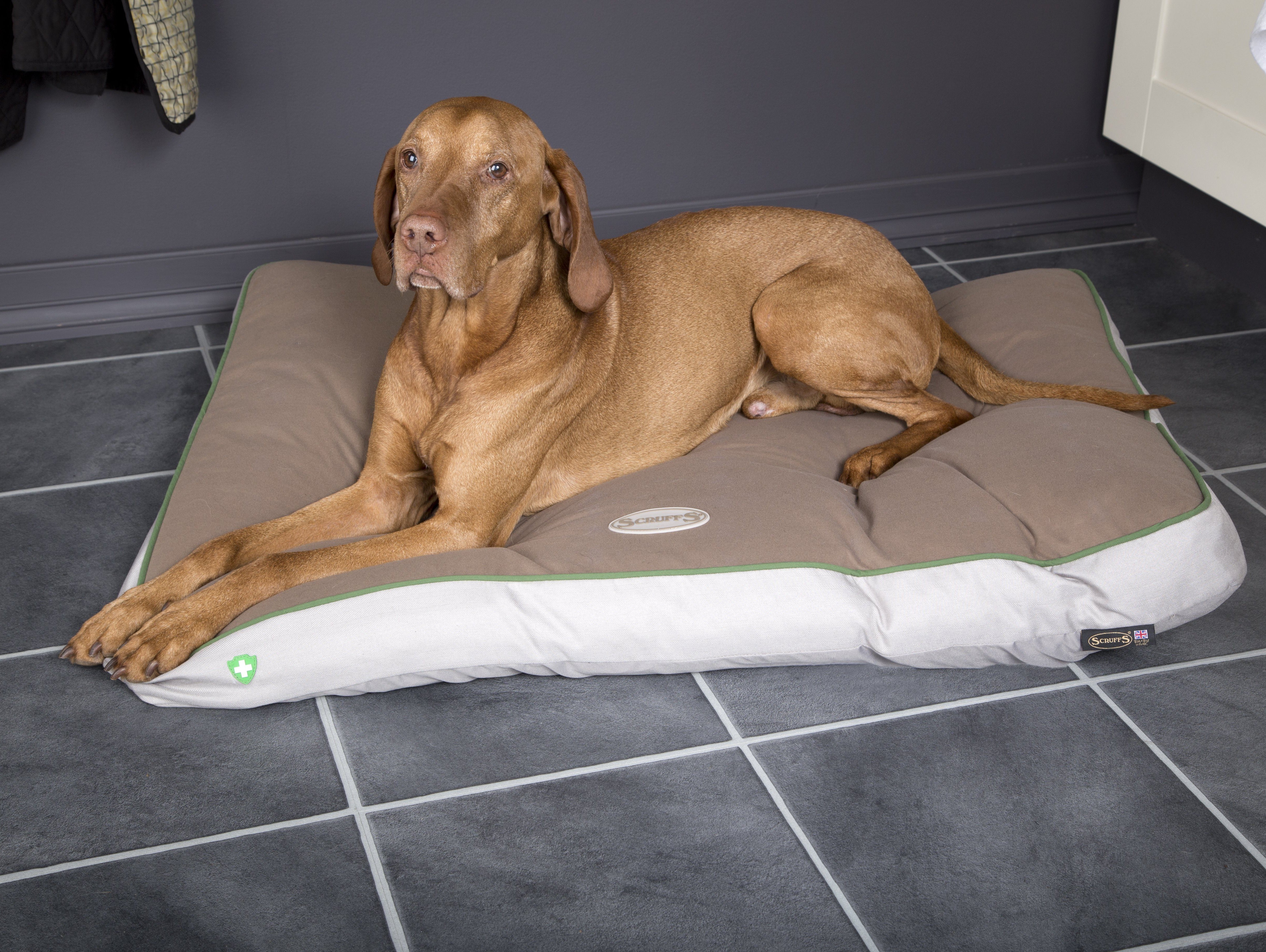 #ScruffsLoves: Top Bedding Choices for April 2018