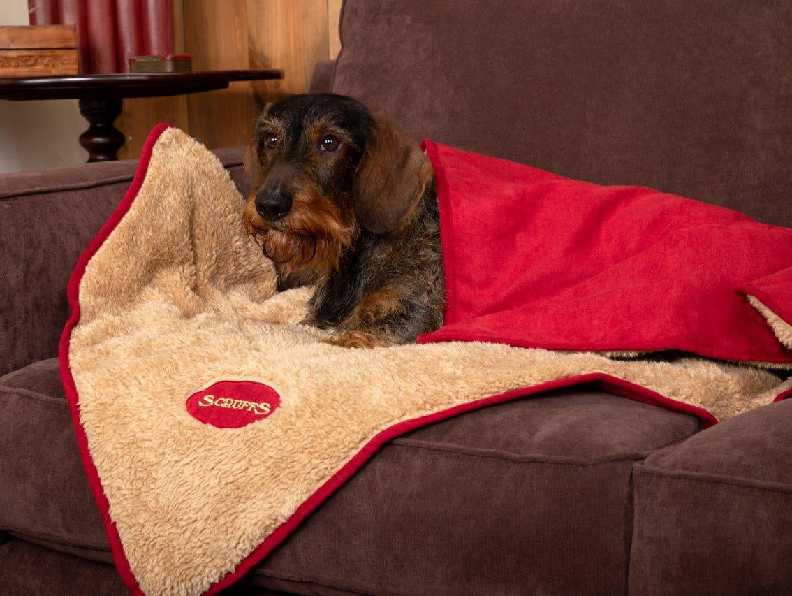 Love Your Pet, Love Their Bed