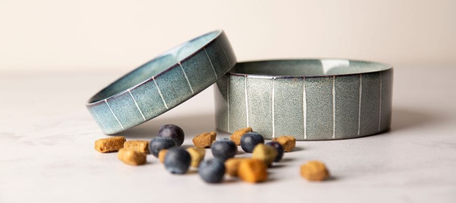 Paws and Whiskers: A Guide to Optimal Feeding for Your Furry Friends