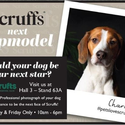 Scruffs is Bigger and Better at Crufts 2025