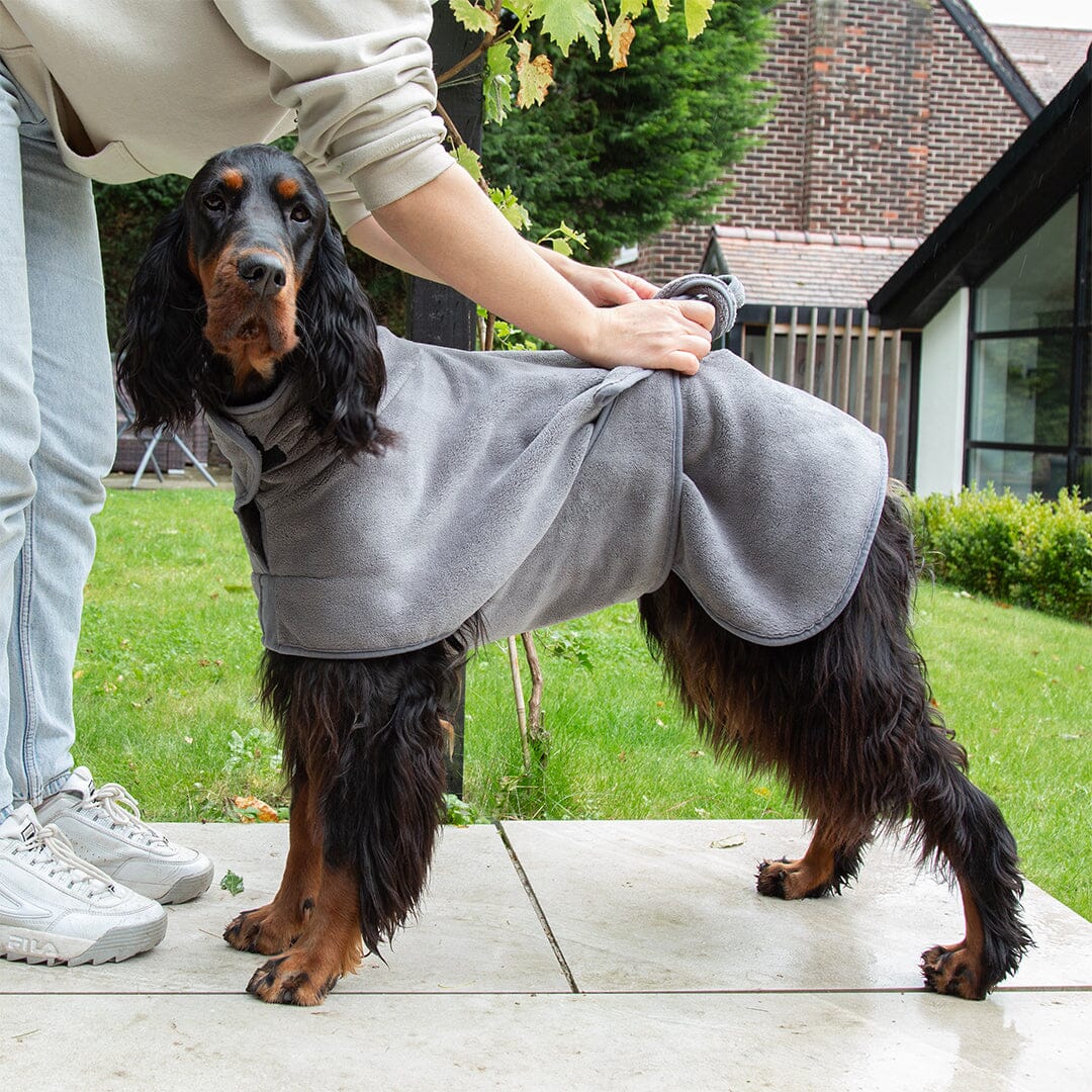 Expedition Deluxe Noodle & Microfibre Dog Dry robe in Graphite Grey