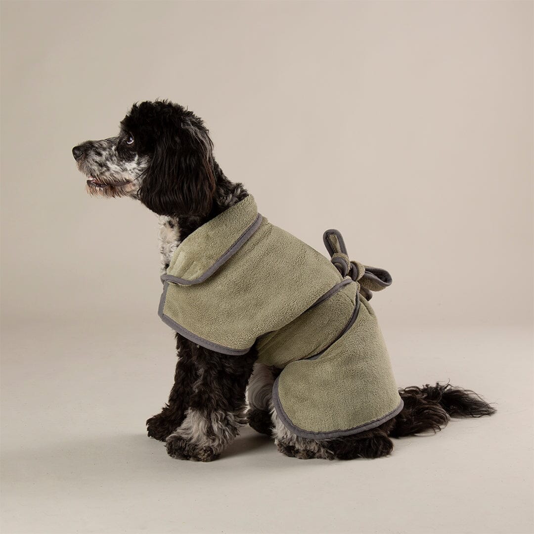 Expedition Deluxe Noodle & Microfibre Dog Dry robe in Khaki Green worn by a cockapoo