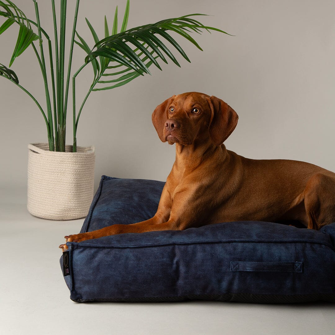 Kensington Mattress - Navy Dog Bed Scruffs®