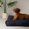 Kensington Mattress - Navy Dog Bed Scruffs®