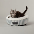 Coastal Cat Bed in Green