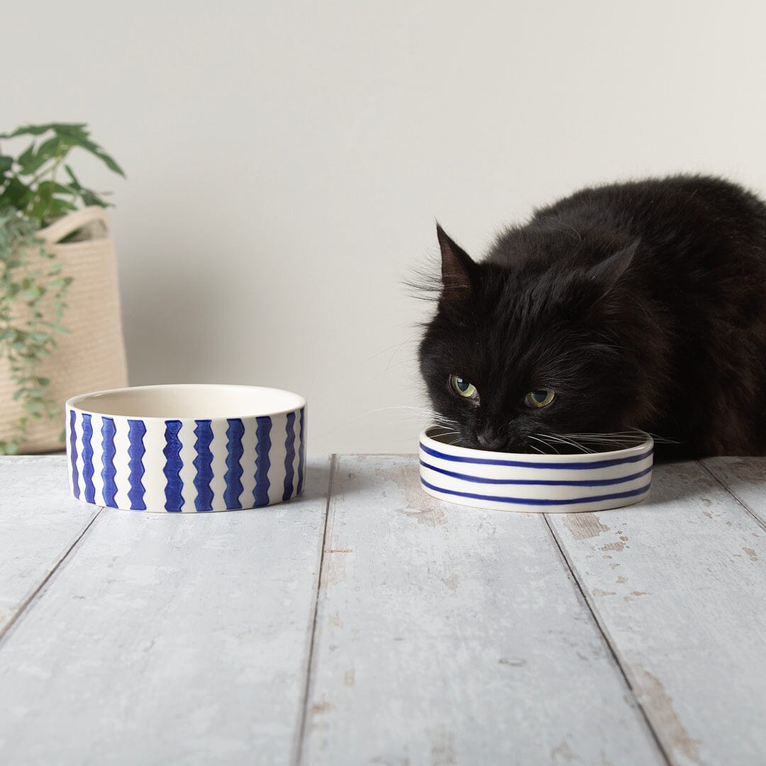 Coastal 2 Piece Cat Food Bowl & Saucer Set - Blue Pet Bowls, Feeders & Waterers Scruffs®