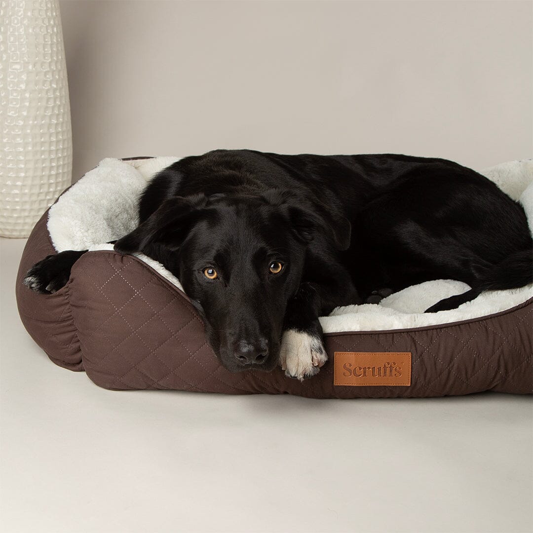 Wilton Box Bed - Chocolate Brown Dog Beds Scruffs®