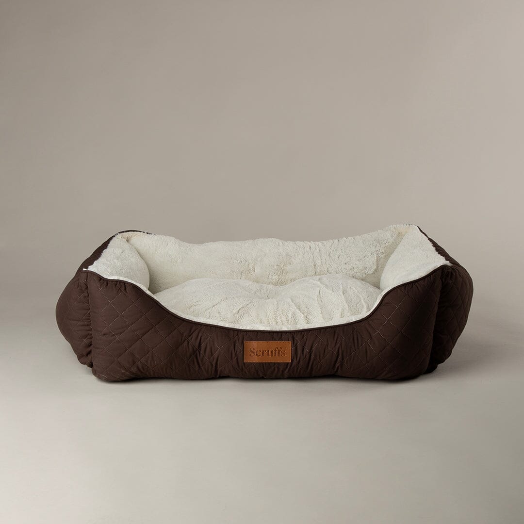 Wilton Box Bed - Chocolate Brown Dog Beds Scruffs®
