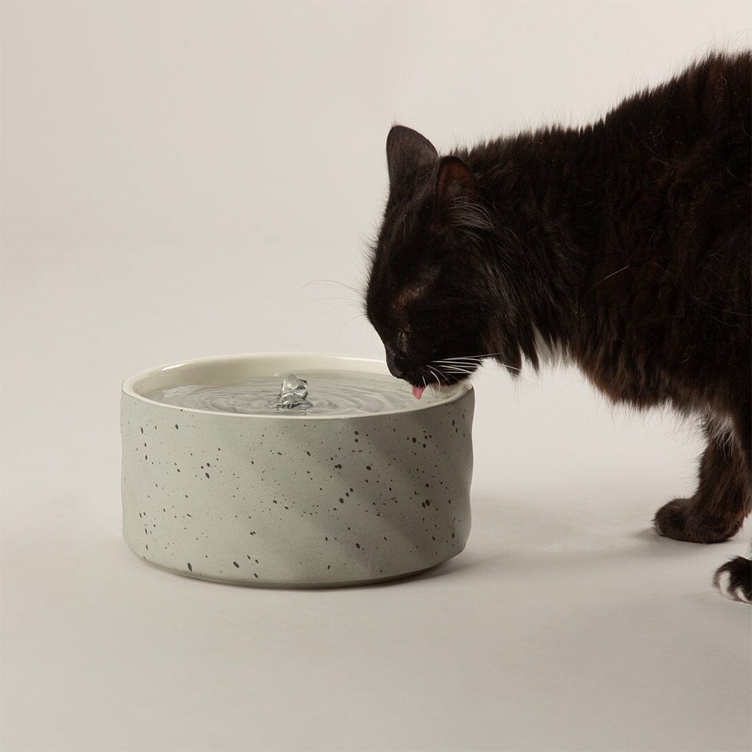 Zen Cat Water Fountain 20cm - Grey Pet Bowls, Feeders & Waterers Scruffs®