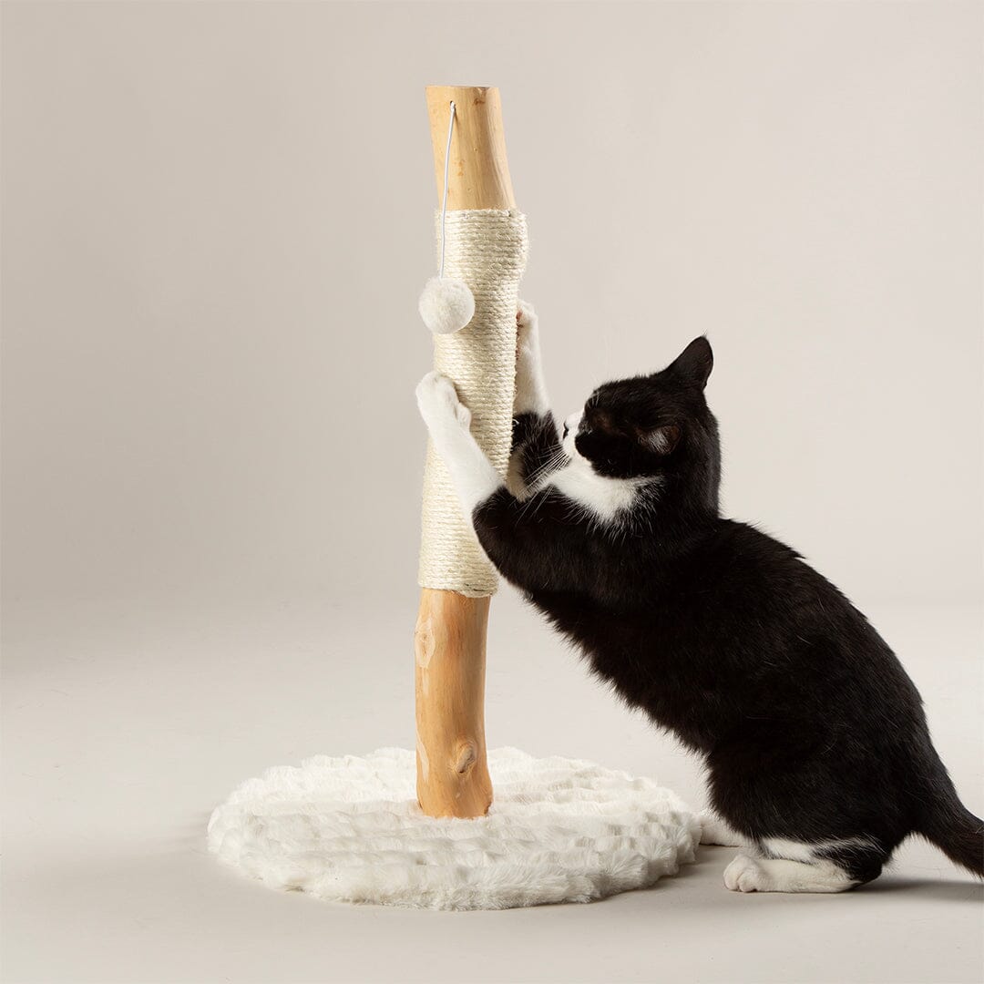 Rockies Cat Scratching Tree - Cream Cat Tree petslovescruffs