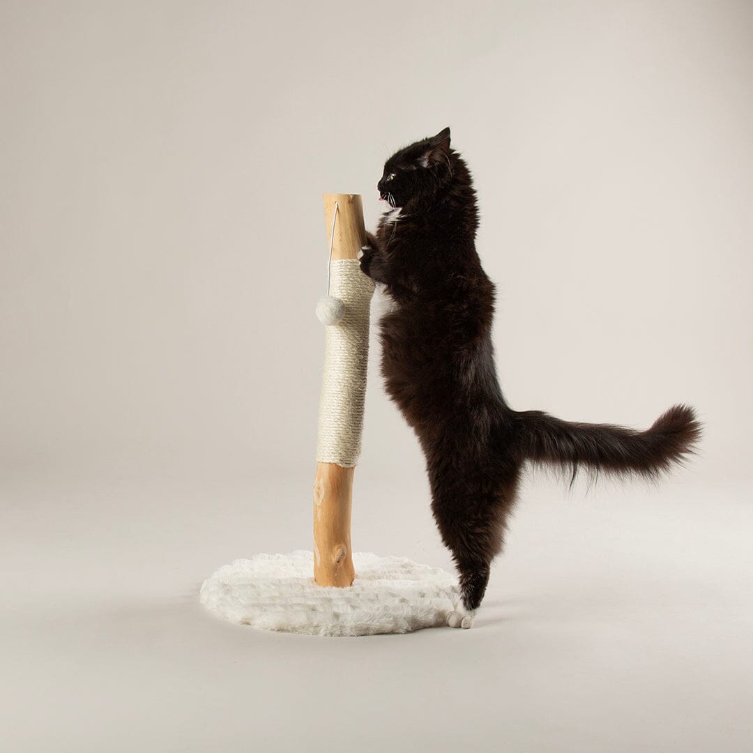 Rockies Cat Scratching Tree - Cream Cat Tree petslovescruffs