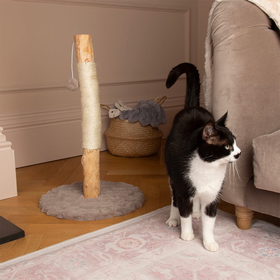 Rockies Cat Scratching Tree - Taupe Cat Tree petslovescruffs