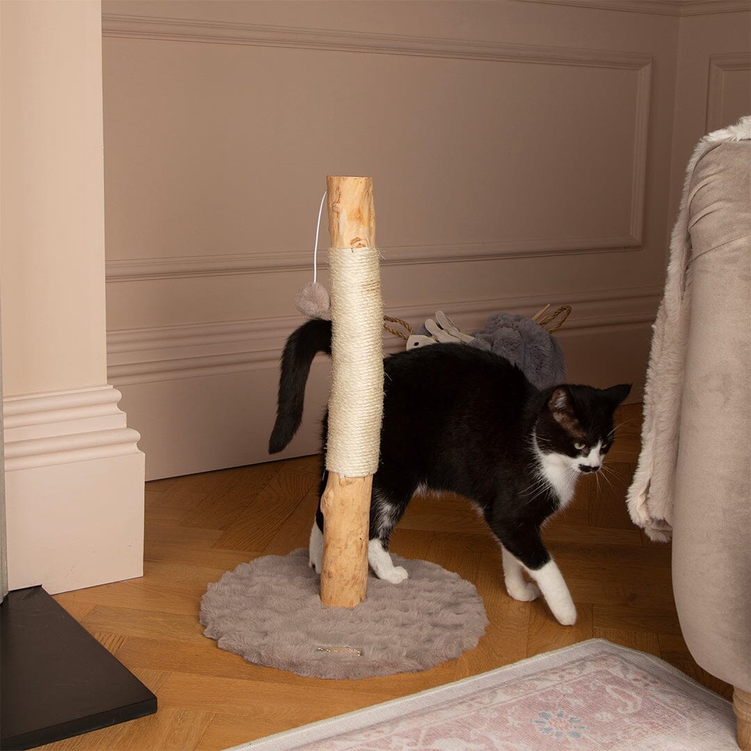 Rockies Cat Scratching Tree - Taupe Cat Tree petslovescruffs