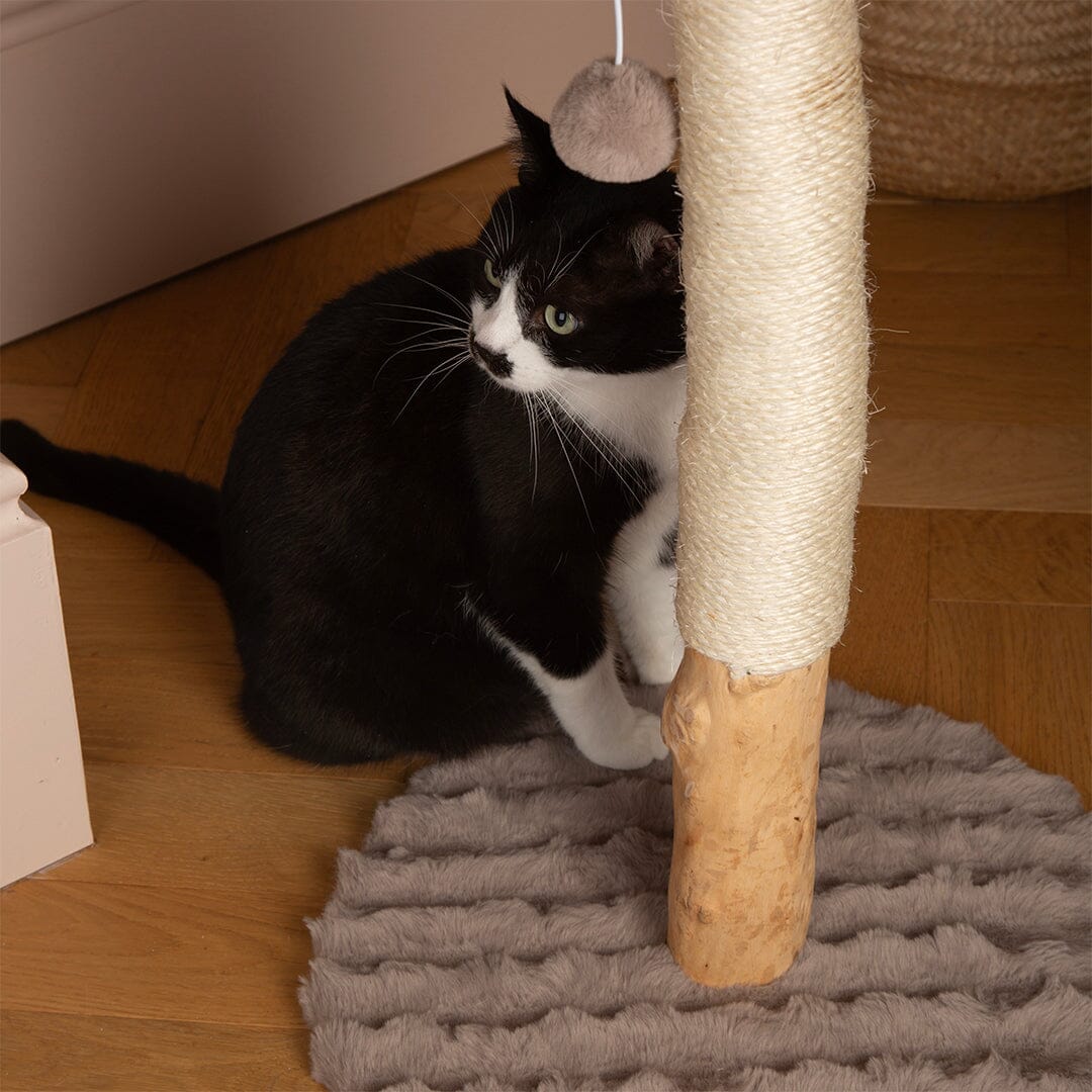 Rockies Cat Scratching Tree - Taupe Cat Tree petslovescruffs