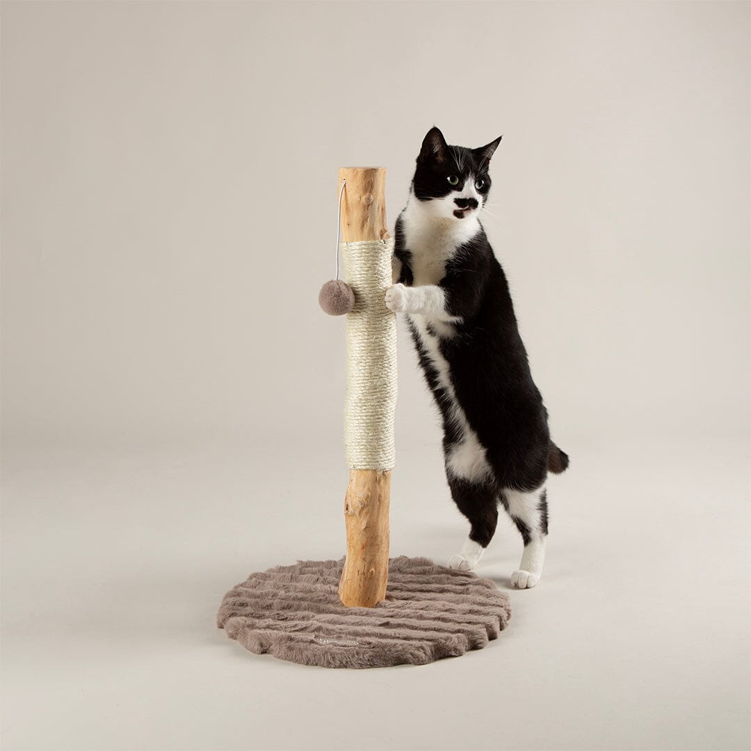 Rockies Cat Scratching Tree - Taupe Cat Tree petslovescruffs