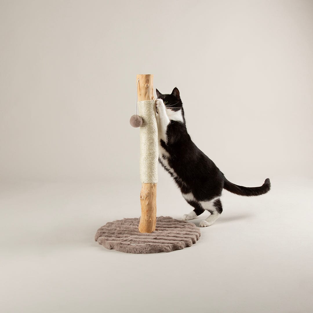 Rockies Cat Scratching Tree - Taupe Cat Tree petslovescruffs