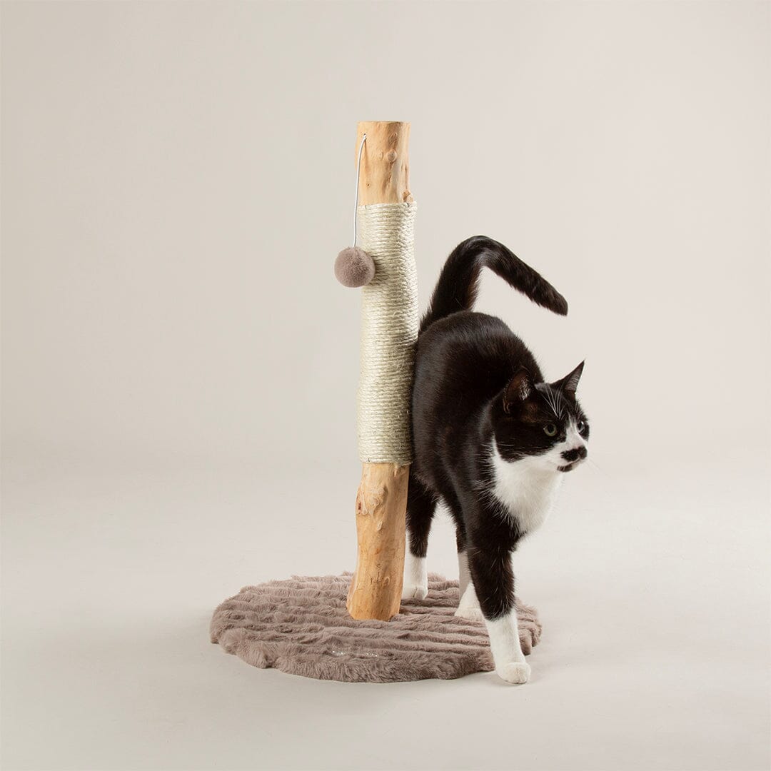 Rockies Cat Scratching Tree - Taupe Cat Tree petslovescruffs