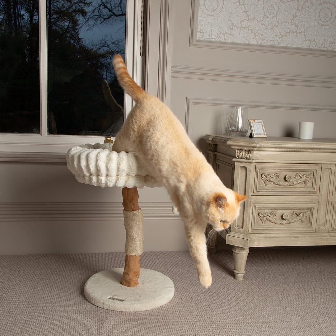 Appalachians Cat Scratching Tree - Cream Cat Tree petslovescruffs