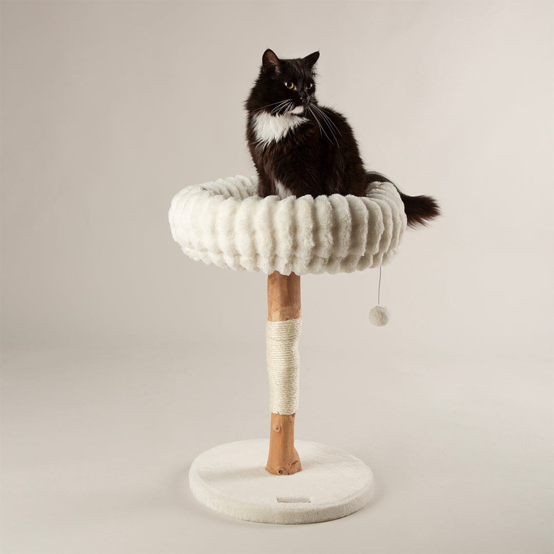 Appalachians Cat Scratching Tree - Cream Cat Tree petslovescruffs