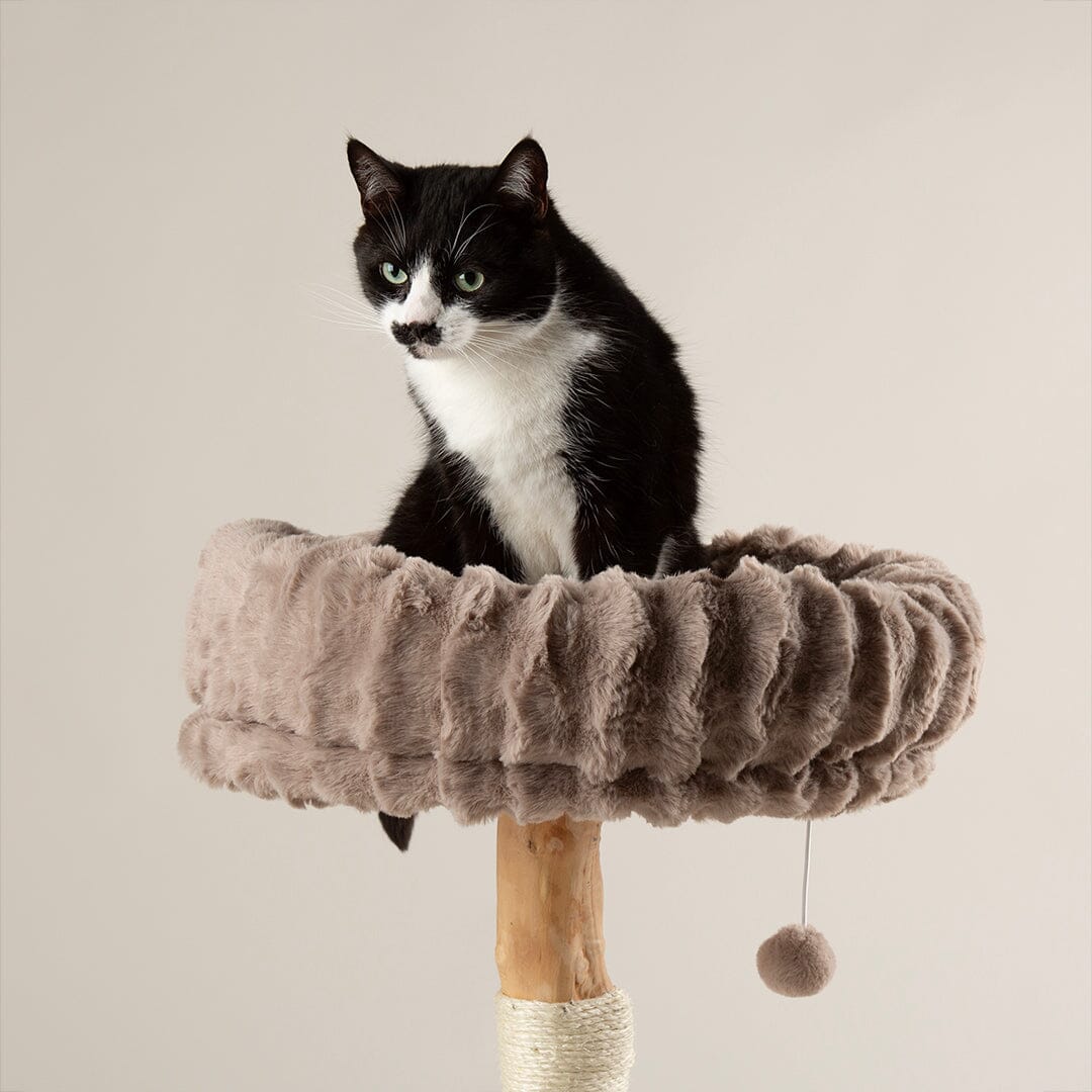 Appalachians Cat Scratching Tree - Taupe Cat Tree Scruffs®