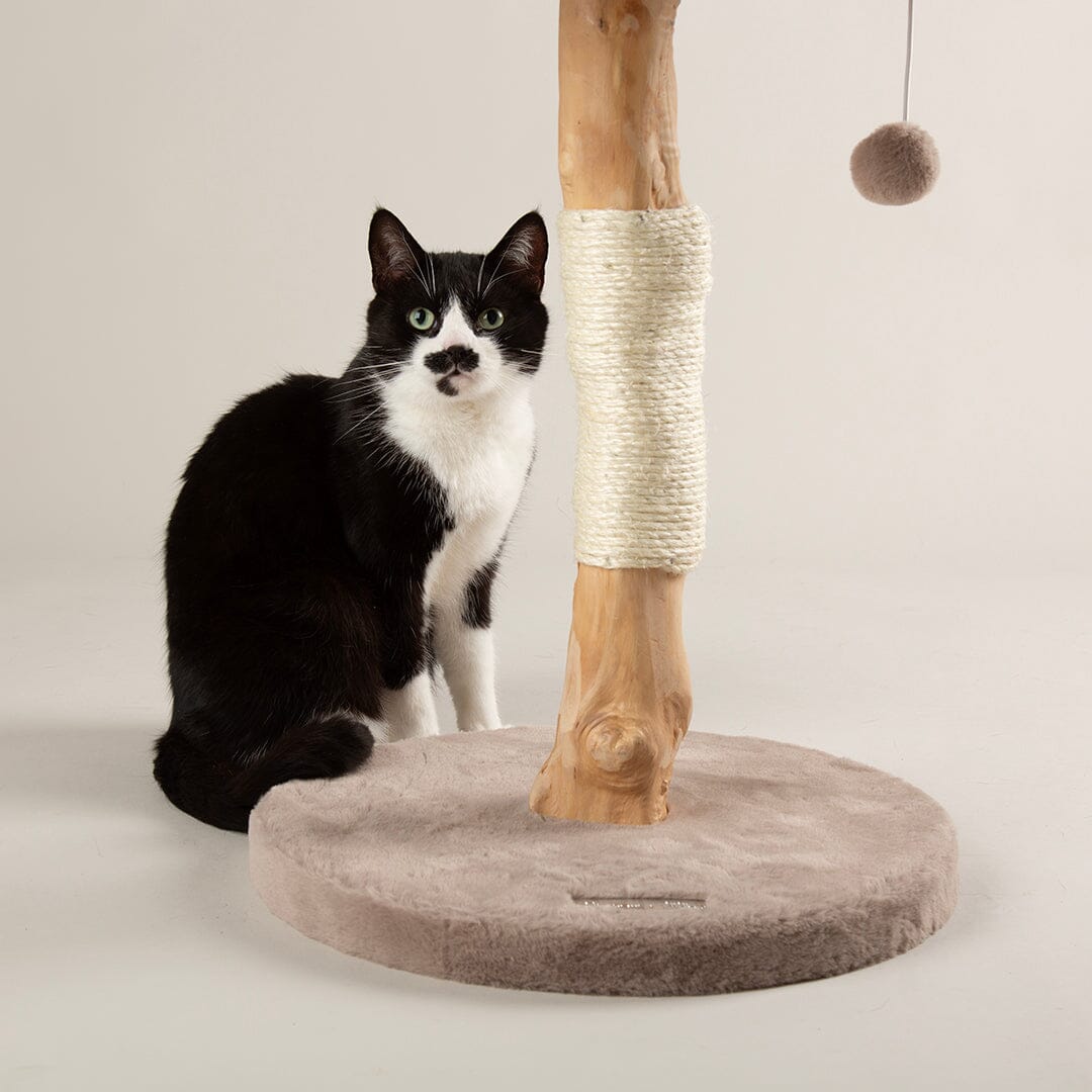 Appalachians Cat Scratching Tree - Taupe Cat Tree Scruffs®