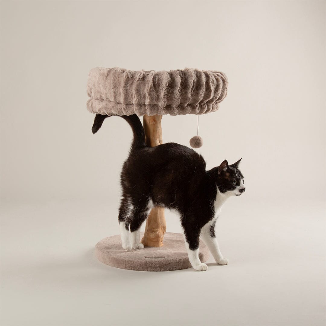 Appalachians Cat Scratching Tree - Taupe Cat Tree Scruffs®