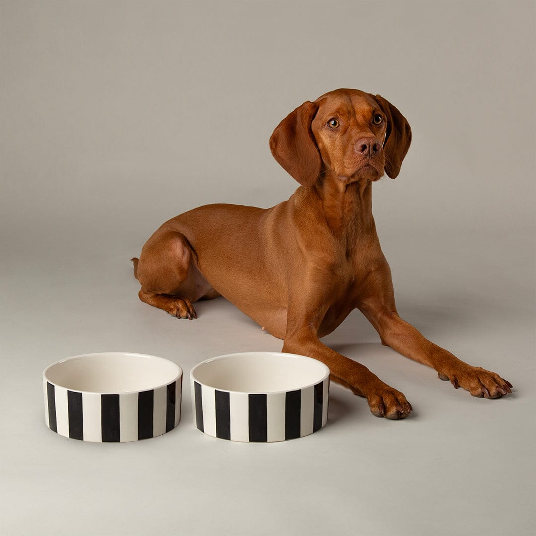 Amalfi Striped 2 Piece Dog Bowl Food & Water Bowl Set - Black Pet Bowls, Feeders & Waterers Scruffs®