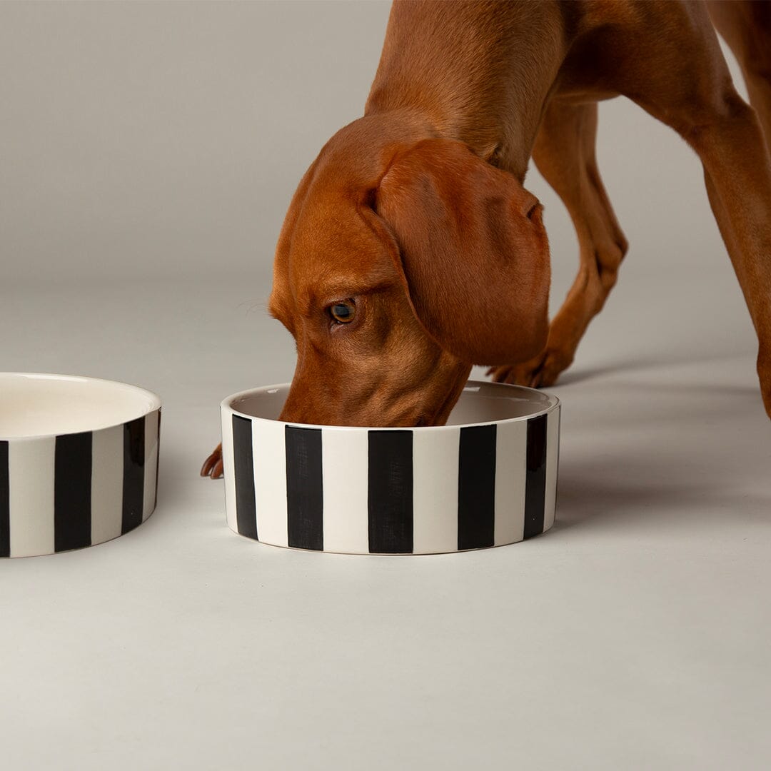 Amalfi Striped 2 Piece Dog Bowl Food & Water Bowl Set - Black Pet Bowls, Feeders & Waterers Scruffs®
