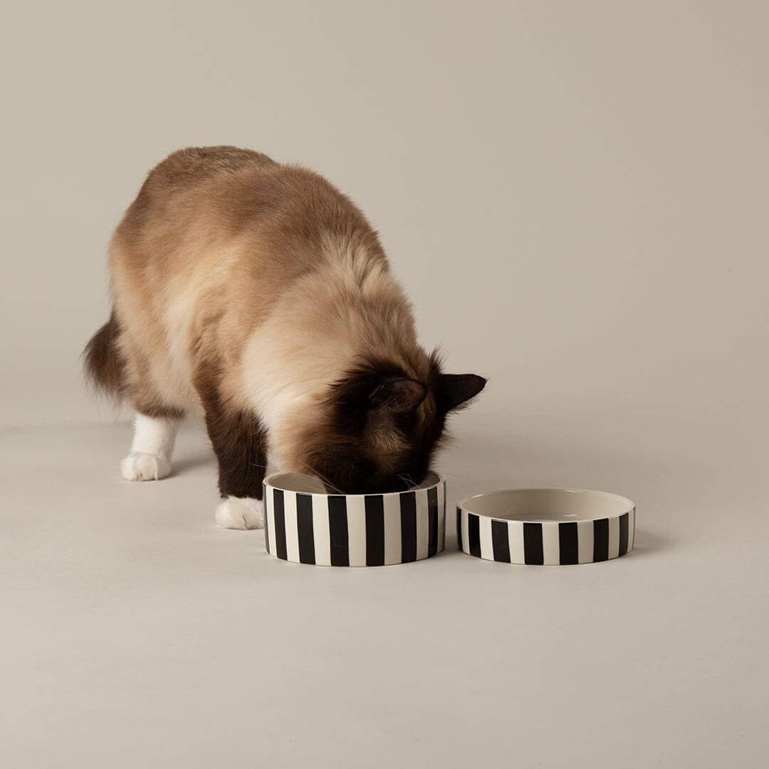 Amalfi Striped 2 Piece Cat Food Bowl & Saucer Set - Black Pet Bowls, Feeders & Waterers Scruffs®