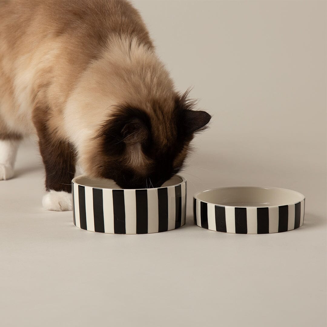 Amalfi Striped 2 Piece Cat Food Bowl & Saucer Set - Black Pet Bowls, Feeders & Waterers Scruffs®