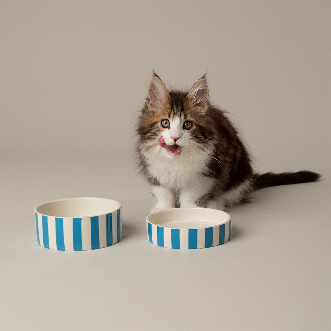 Amalfi Striped 2 Piece Cat Food Bowl & Saucer Set - Blue Pet Bowls, Feeders & Waterers Scruffs®