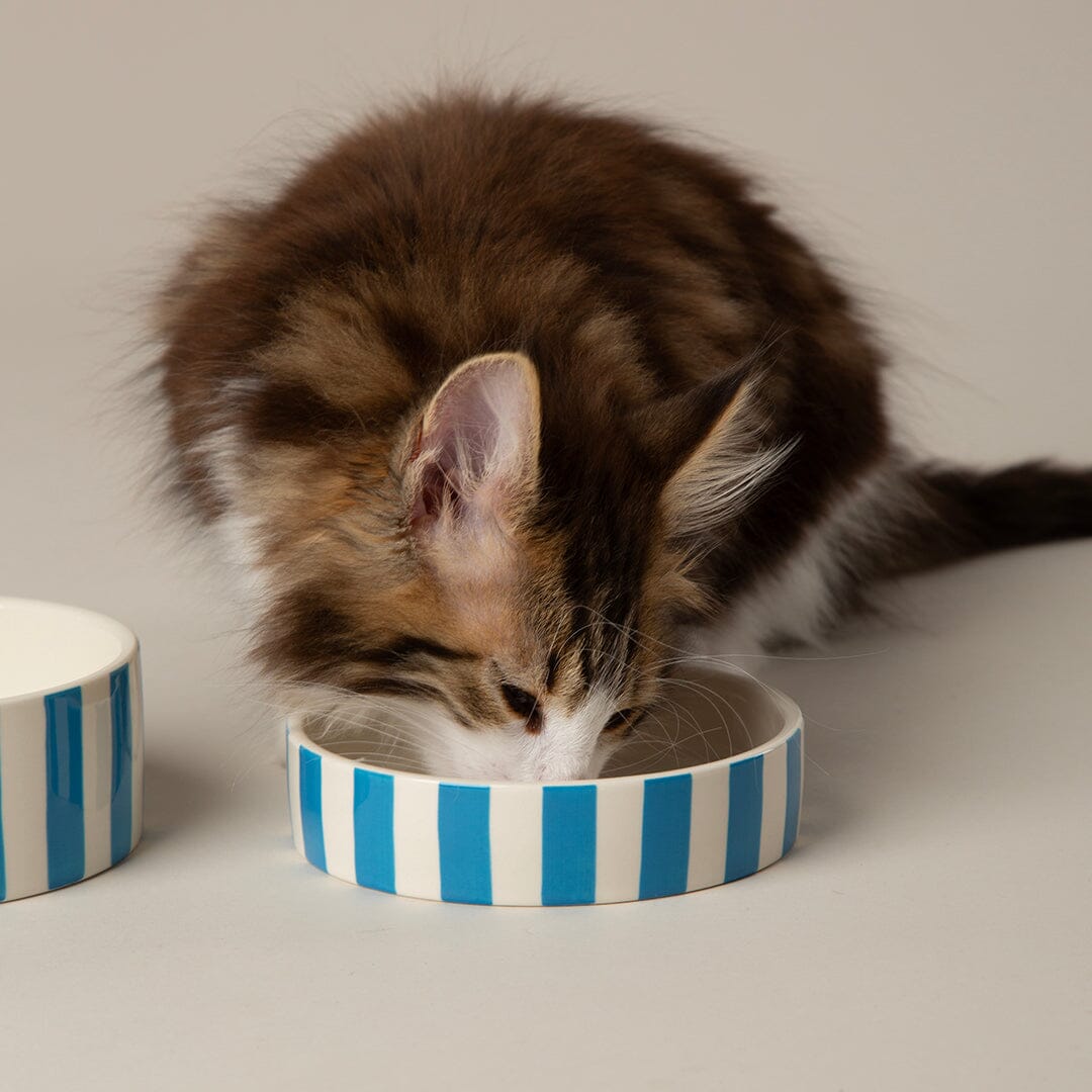 Amalfi Striped 2 Piece Cat Food Bowl & Saucer Set - Blue Pet Bowls, Feeders & Waterers Scruffs®