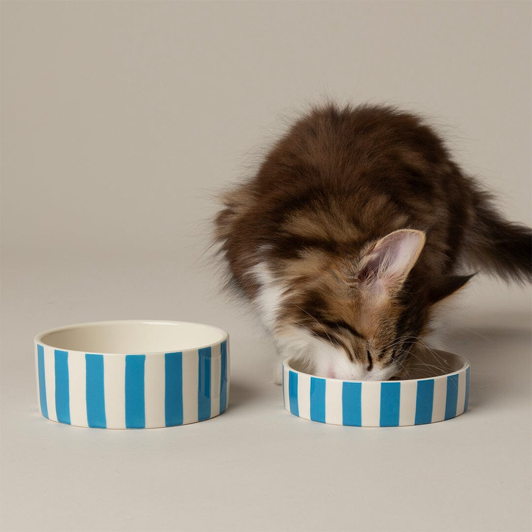 Amalfi Striped 2 Piece Cat Food Bowl & Saucer Set - Blue Pet Bowls, Feeders & Waterers Scruffs®