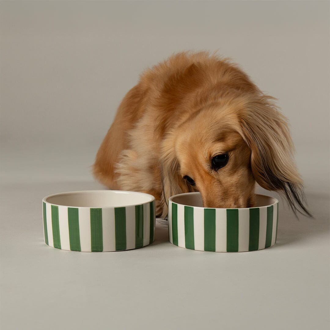 Amalfi Striped 2 Piece Dog Bowl Food & Water Bowl Set - Green Pet Bowls, Feeders & Waterers Scruffs®