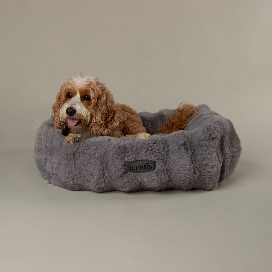 Alpine Box Bed - Grey Dog Beds Scruffs®