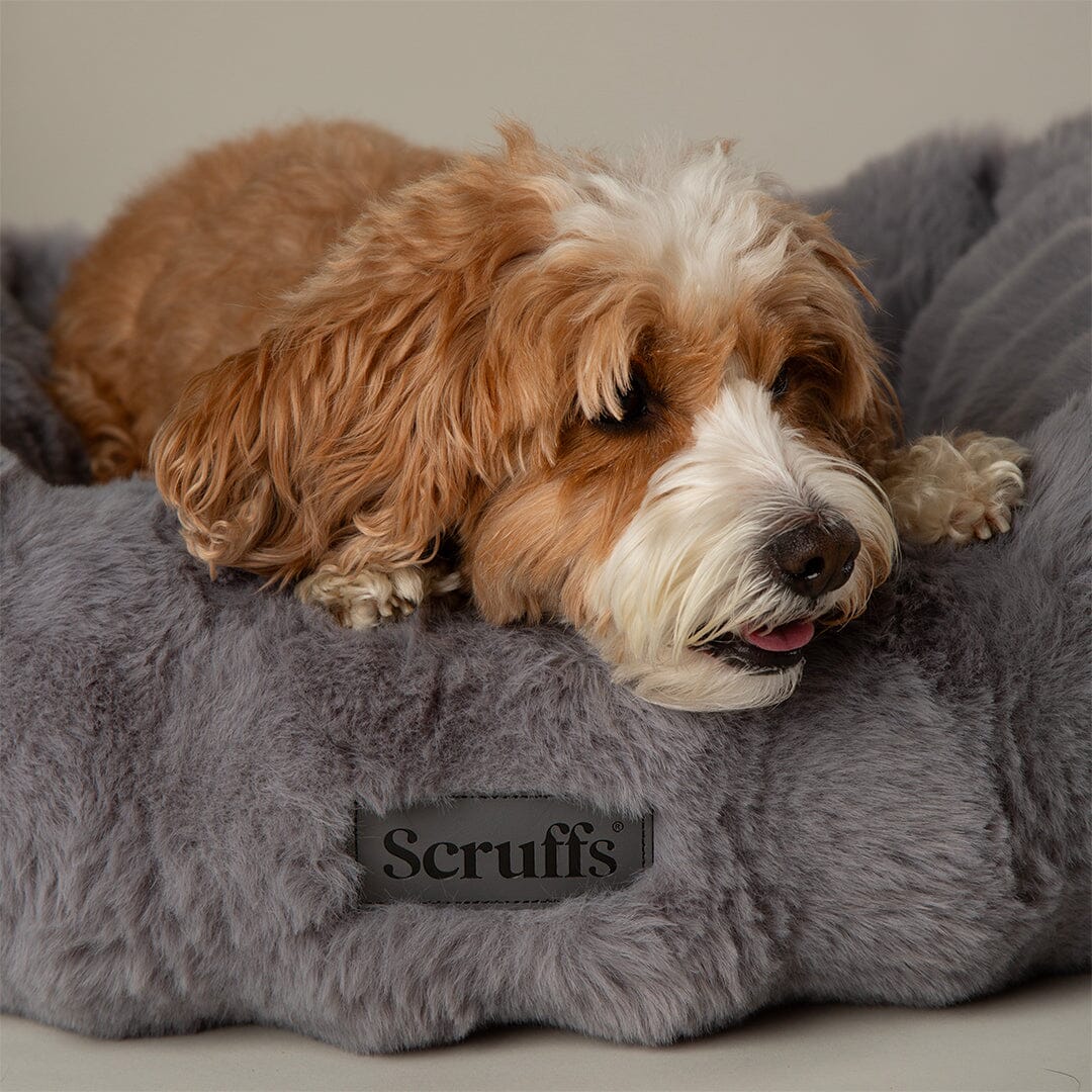 Alpine Box Bed - Grey Dog Beds Scruffs®