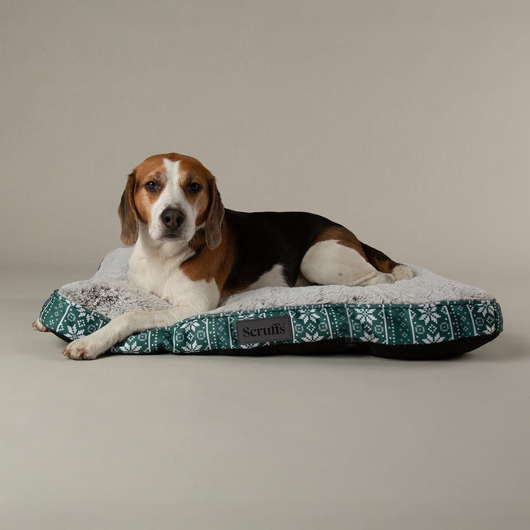 Santa Paws Mattress - Green Dog Beds Scruffs®