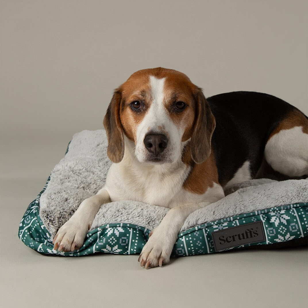 Santa Paws Mattress - Green Dog Beds Scruffs®
