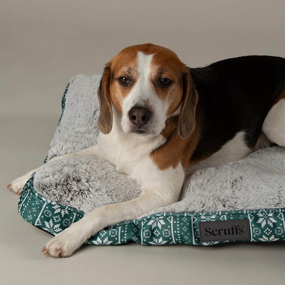 Santa Paws Mattress - Green Dog Beds Scruffs®